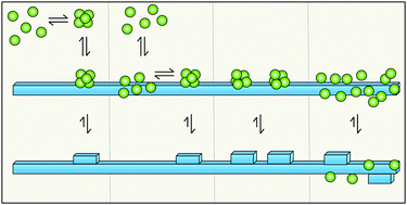 Graphical abstract: Secondary nucleation in amyloid formation