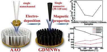Graphical abstract: Novel gradient-diameter magnetic nanowire arrays with unconventional magnetic anisotropy behaviors