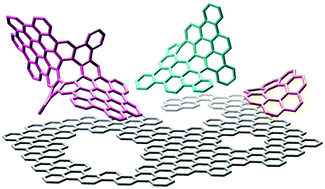 Graphical abstract: Synthesis of distorted nanographenes containing seven- and eight-membered carbocycles
