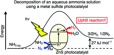 Graphical abstract: Decomposition of an aqueous ammonia solution as a photon energy conversion reaction using a Ru-loaded ZnS photocatalyst