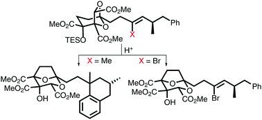 Graphical abstract: Alkene protection against acid using a bromide substituent: application in a total synthesis of (−)-6,7-dideoxysqualestatin H5