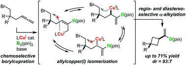 Graphical abstract: Copper(i)-catalysed regio- and diastereoselective intramolecular alkylboration of terminal allenes via allylcopper(i) isomerization