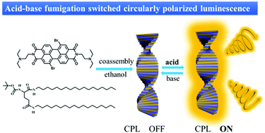 Graphical abstract: Proton triggered circularly polarized luminescence in orthogonal- and co-assemblies of chiral gelators with achiral perylene bisimide
