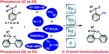 Graphical abstract: Late stage modifications of P-containing ligands using transition-metal-catalysed C–H bond functionalisation