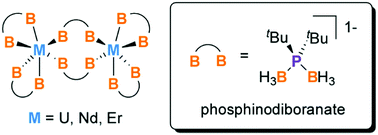 Graphical abstract: Homoleptic uranium and lanthanide phosphinodiboranates