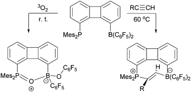 Graphical abstract: Selective formation of heterocyclic trans-cycloalkenes by alkyne addition to a biphenylene-based phosphane/borane frustrated Lewis pair