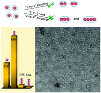 Graphical abstract: Controllable oligomerization: defying step-growth kinetics in the polymerization of gold nanoparticles