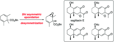 Graphical abstract: Enantioselective total synthesis of sagittacin E and related natural products