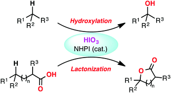 Graphical abstract: C–H oxygenation at tertiary carbon centers using iodine oxidant
