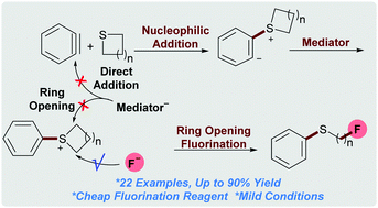 Graphical abstract: An aryne triggered ring-opening fluorination of cyclic thioethers with potassium fluoride