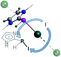 Graphical abstract: Isolable N-heterocyclic carbene adducts of the elusive diiodophosphine