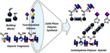Graphical abstract: Synthesis of highly controlled carbohydrate–polymer based hybrid structures by combining heparin fragments and sialic acid derivatives, and solid phase polymer synthesis