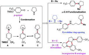 Graphical abstract: Csp3–H bond functionalization of amines via tunable iminium ions: divergent synthesis of trifluoromethylated arylamines