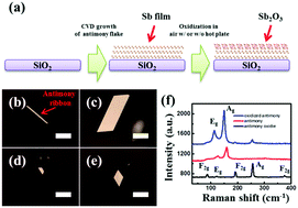 Graphical abstract: The environmental stability of large-size and single-crystalline antimony flakes grown by chemical vapor deposition on SiO2 substrates