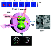 Graphical abstract: Lanthanide-doped core–shell nanoparticles as a multimodality platform for imaging and photodynamic therapy