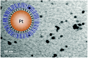 Graphical abstract: Synthesis of platinum nanoparticles templated by dendrimers terminated with alkyl chains
