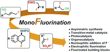 Graphical abstract: Recent advances in the synthesis of functionalised monofluorinated compounds