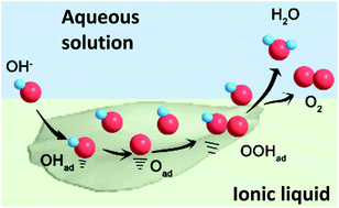 Graphical abstract: Boosting the oxygen evolution reaction performance of CoS2 microspheres by subtle ionic liquid modification