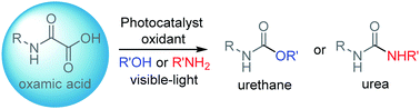 Graphical abstract: Visible-light photocatalyzed oxidative decarboxylation of oxamic acids: a green route to urethanes and ureas