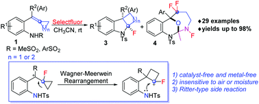 Graphical abstract: Catalyst-free geminal aminofluorination of ortho-sulfonamide-tethered alkylidenecyclopropanes via a Wagner–Meerwein rearrangement