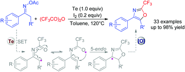 Graphical abstract: Elemental tellurium mediated synthesis of 2-(trifluoromethyl)oxazoles using trifluoroacetic anhydride as reagent