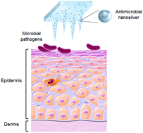 Graphical abstract: Self-sterilizing antibacterial silver-loaded microneedles