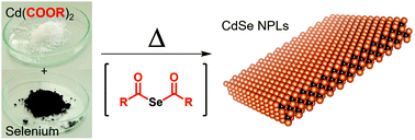 Graphical abstract: Identifying reactive organo-selenium precursors in the synthesis of CdSe nanoplatelets