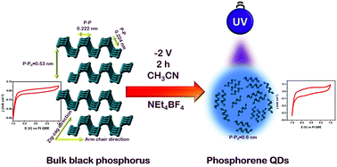 Graphical abstract: A single-step, electrochemical synthesis of nitrogen doped blue luminescent phosphorene quantum dots