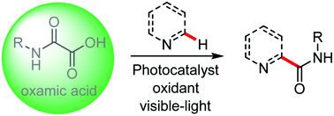 Graphical abstract: Visible-light mediated carbamoyl radical addition to heteroarenes