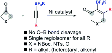 Graphical abstract: Regioselective cycloaddition of potassium alkynyltrifluoroborates with 3-azetidinones and 3-oxetanone by nickel-catalysed C–C bond activation