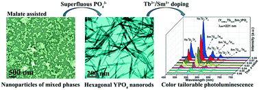 Graphical abstract: Enhanced hydrothermal crystallization and color tailorable photoluminescence of hexagonal structured YPO4:Sm/Tb nanorods