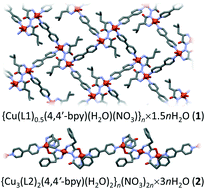 Graphical abstract: Coordination ability of amino acid hydrazide ligands and their influence on magnetic properties in copper(ii) coordination polymers