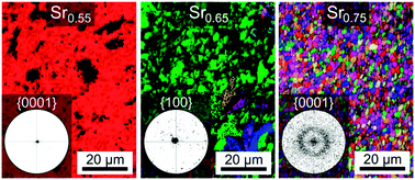 Graphical abstract: Oriented nucleation and crystal growth in SrO–Al2O3–SiO2 tectosilicate glasses