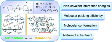 Graphical abstract: Structural and energetic aspects of adamantane and memantine derivatives of sulfonamide molecular crystals: experimental and theoretical characterisation