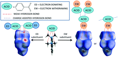 Graphical abstract: Tuning charge-assisted and weak hydrogen bonds in molecular complexes of the proton sponge DMAN by acid co-former substitution