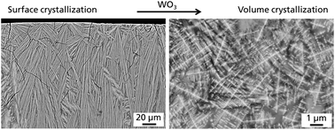 Graphical abstract: WO3 as a nucleating agent for BaO/SrO/ZnO/SiO2 glasses – experiments and simulations