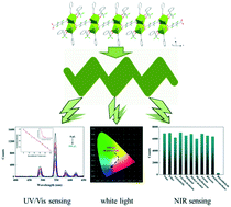 Graphical abstract: Structure, color-tunable luminescence, and UV-vis/NIR benzaldehyde detection of lanthanide coordination polymers based on two fluorinated ligands