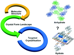Graphical abstract: From serendipity to supramolecular design: assessing the utility of computed crystal form landscapes in inferring the risks of crystal hydration in carboxylic acids