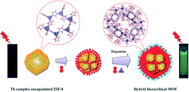 Graphical abstract: Terbium complexes encapsulated in hierarchically organized hybrid MOF particles toward stable luminescence in aqueous media