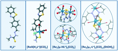 Graphical abstract: Structural study of mono-, di- and tetranuclear complexes of the {Re(CO)3}+ fragment with thiosemicarbazone/thiosemicarbazonate ligands containing benzothiazole or benzoxazole groups