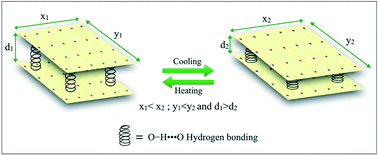 Graphical abstract: Area negative thermal expansion in a mixed metal mixed organic MOF: “elevator-platform” mechanism induced by O–H⋯O hydrogen bonding
