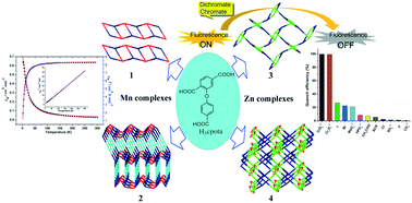 Graphical abstract: Exploring the syntheses, structures, topologies, luminescence sensing and magnetism of Zn(ii) and Mn(ii) coordination polymers based on a semirigid tricarboxylate ligand