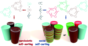 Graphical abstract: Consistent supramolecular assembly arising from a mixture of components – self-sorting and solid solutions of chiral oxygenated trianglimines