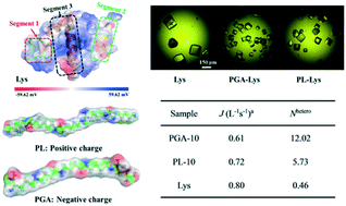 Graphical abstract: Charged polymeric additives affect the nucleation of lysozyme crystals