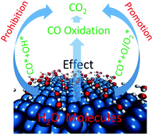 Graphical abstract: Different effects of water molecules on CO oxidation with different reaction mechanisms