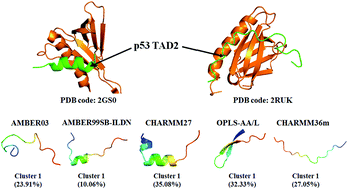 Graphical abstract: Characterization of the structural ensembles of p53 TAD2 by molecular dynamics simulations with different force fields