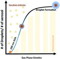 Graphical abstract: Gas-phase kinetics modifies the CCN activity of a biogenic SOA