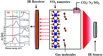 Graphical abstract: Highly infrared sensitive VO2 nanowires for a nano-optical device