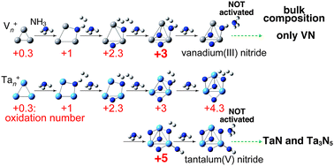 Graphical abstract: The role of electronegativity on the extent of nitridation of group 5 metals as revealed by reactions of tantalum cluster cations with ammonia molecules