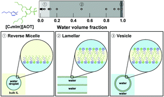Graphical abstract: Small-angle X-ray scattering study on nano-scale structures controlled by water content in a binary water/ionic liquid system